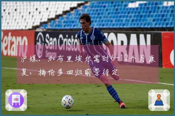 沪媒：加布里埃尔需时6-12个月康复，梅伦多回归前景待定