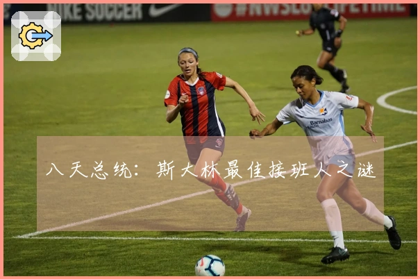 八天总统：斯大林最佳接班人之谜