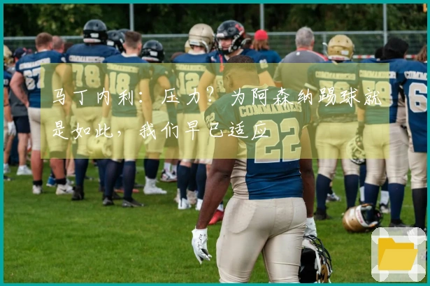 马丁内利：压力？为阿森纳踢球就是如此，我们早已适应