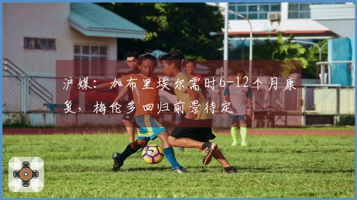 沪媒：加布里埃尔需时6-12个月康复，梅伦多回归前景待定